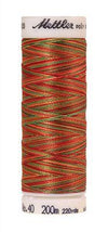 Mettler Polysheen Multi 9939 Mexicana 220 yds