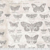 Monochrome: Butterflies