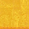 Random Thoughts: Sunlight Honeycomb