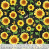 Sunshine Daydream: Black Sunflower Field