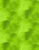 Watercolor Texture-Lime Green